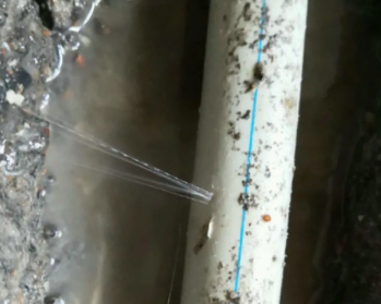 商都卫生间测漏水多少钱
